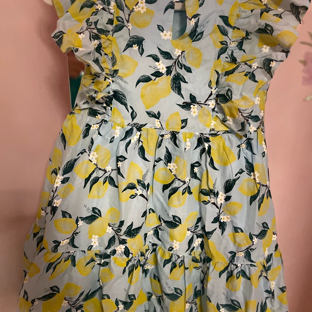Floral Lemon Print Kids Dress . Brand new No tags. Beautiful on.
